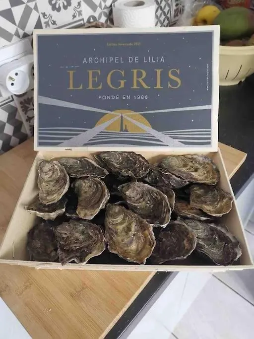 Kerletty, La Mer, Les Embruns, A 250 M Des Plages Plouguerneau