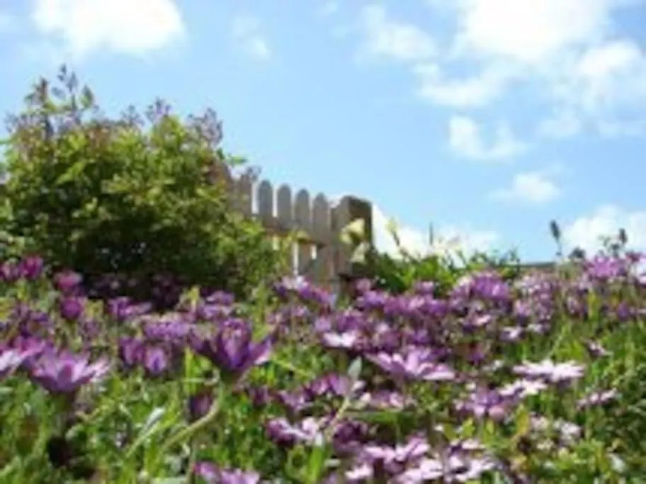 Holiday home Kerletty, La Mer, Les Embruns, A 250 M Des Plages Plouguerneau