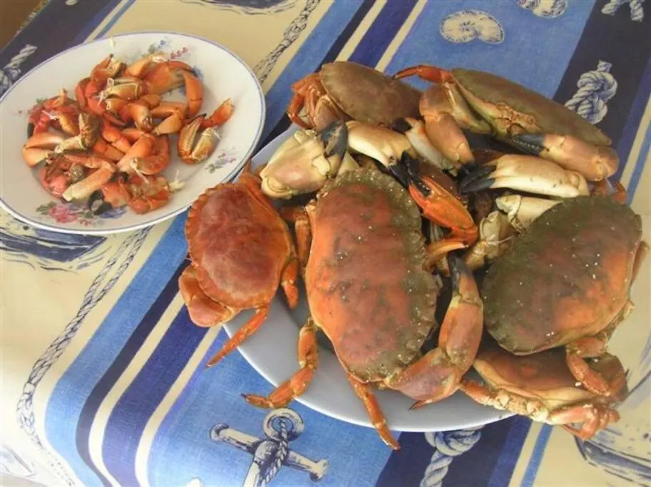 Kerletty, La Mer, Les Embruns, A 250 M Des Plages Plouguerneau France